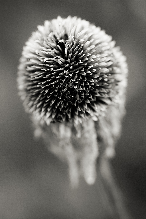 ��������. ���������