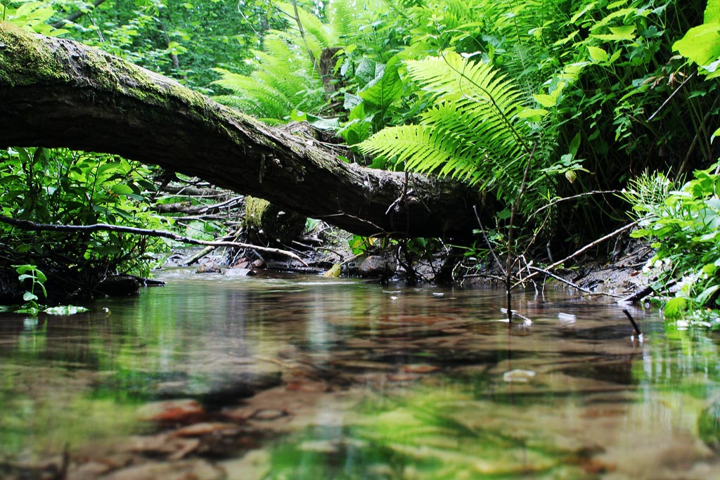 �. �������� �������� �� ������