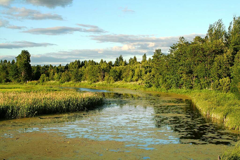 �. �������