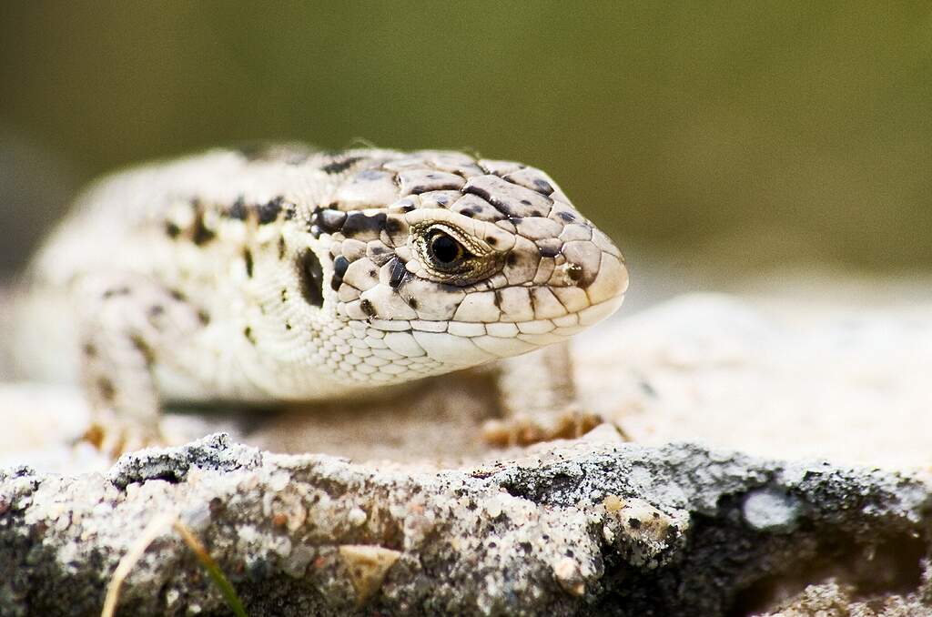 � �� ���?