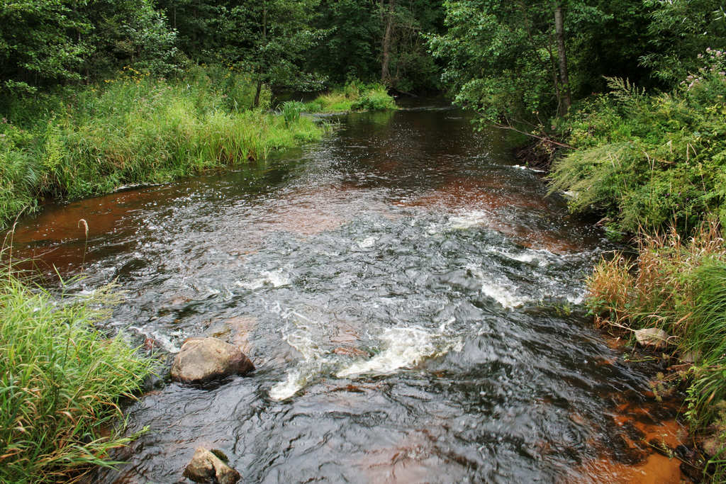 �. ������� �������