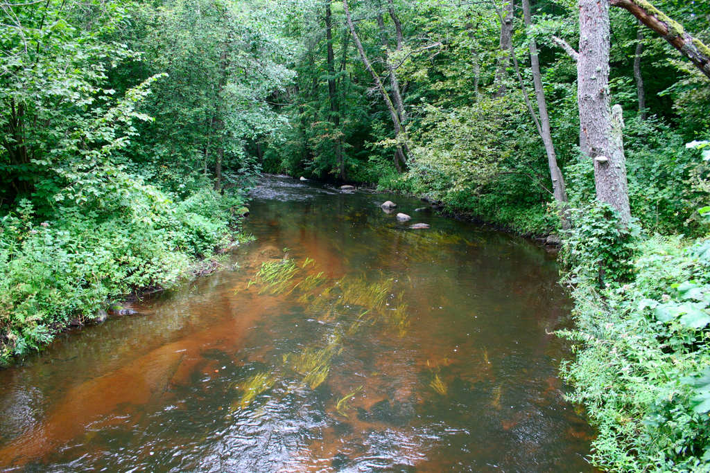 �. ������� �������