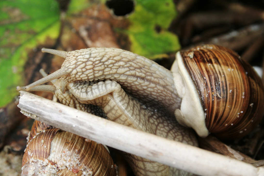 �������� ����