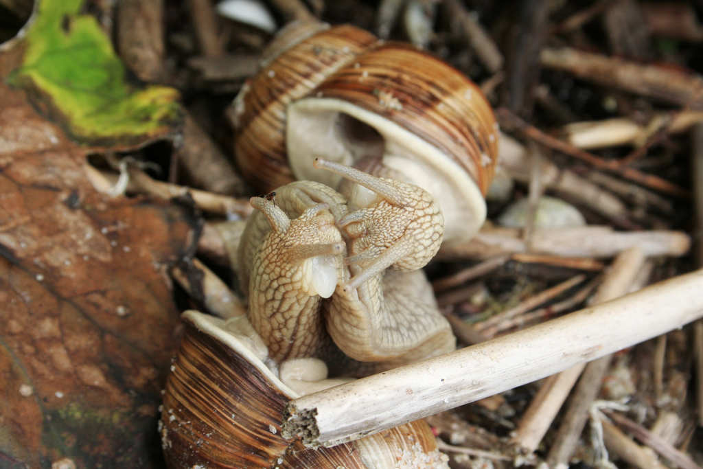 �������� ���� 2