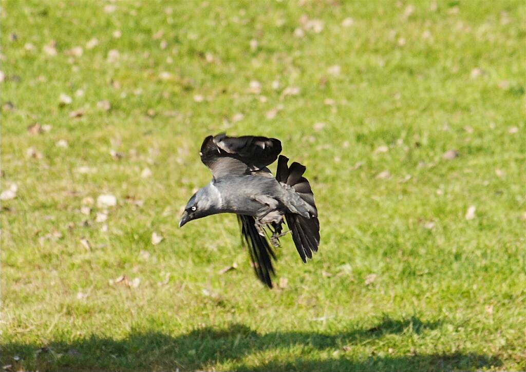 ������ �� �������