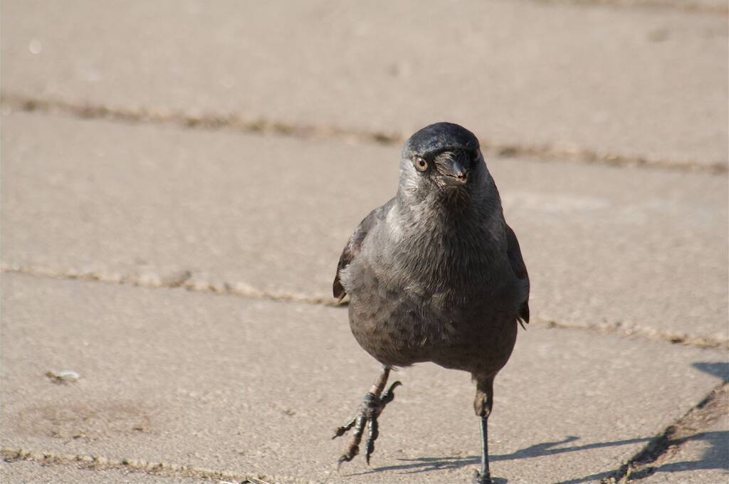 �� ��� ��� � ��� �������� ����?