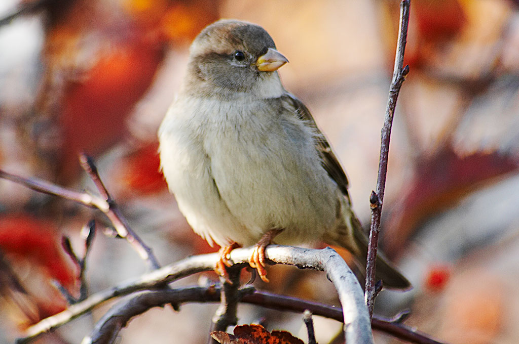 �� ��� � �� �������?