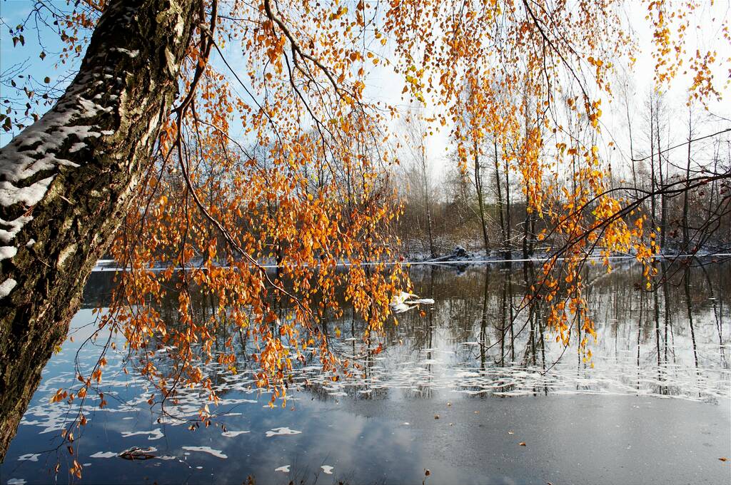 ���� ������ ������� ����...