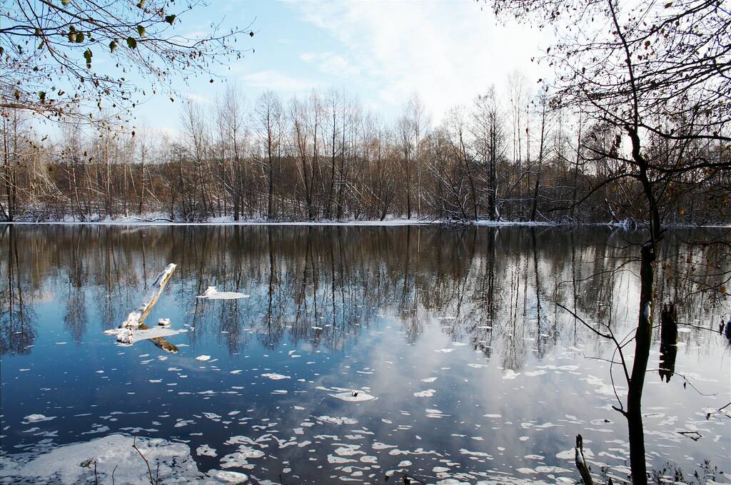 ������ ������