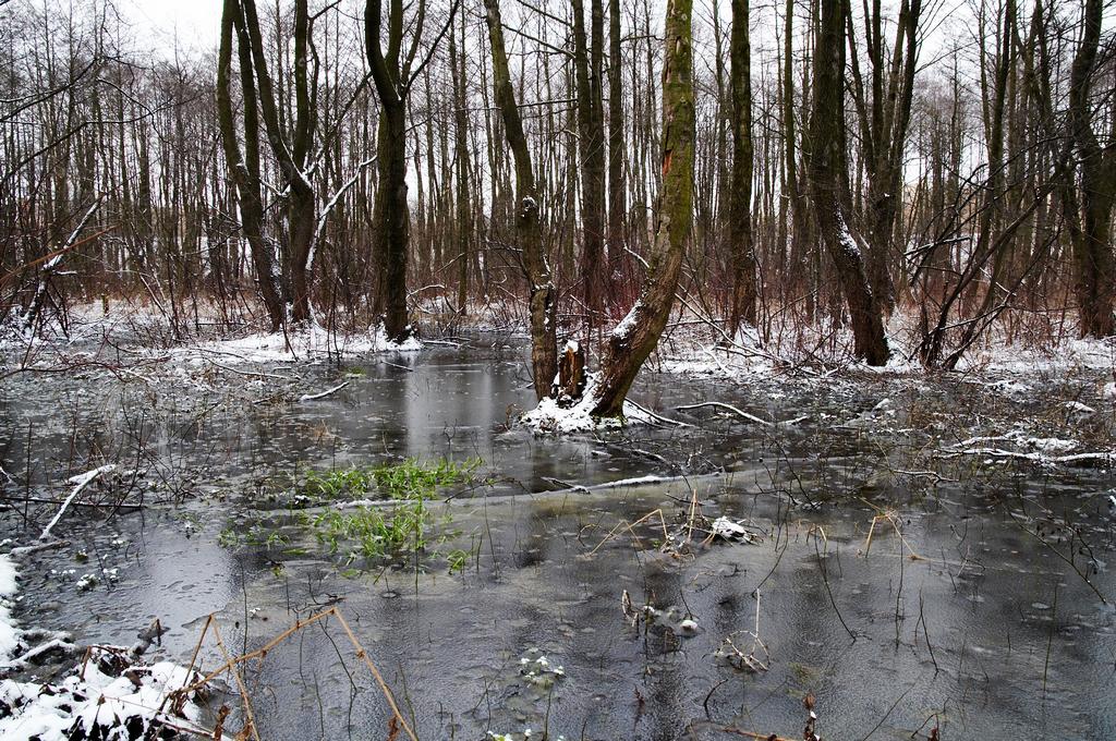 ������. � ������ ������