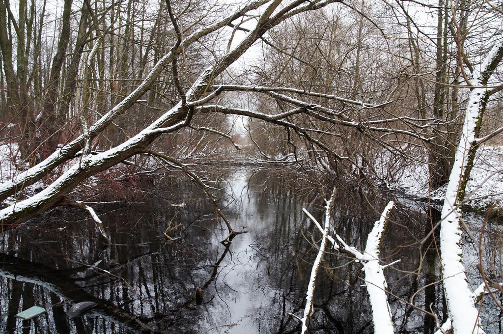 ����� � ����