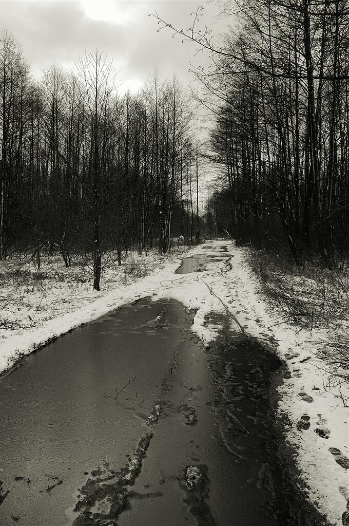 ������ �������