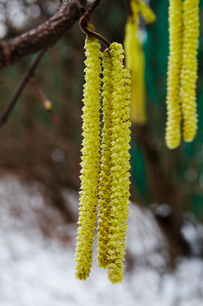 ���� � ������ ������ ����������