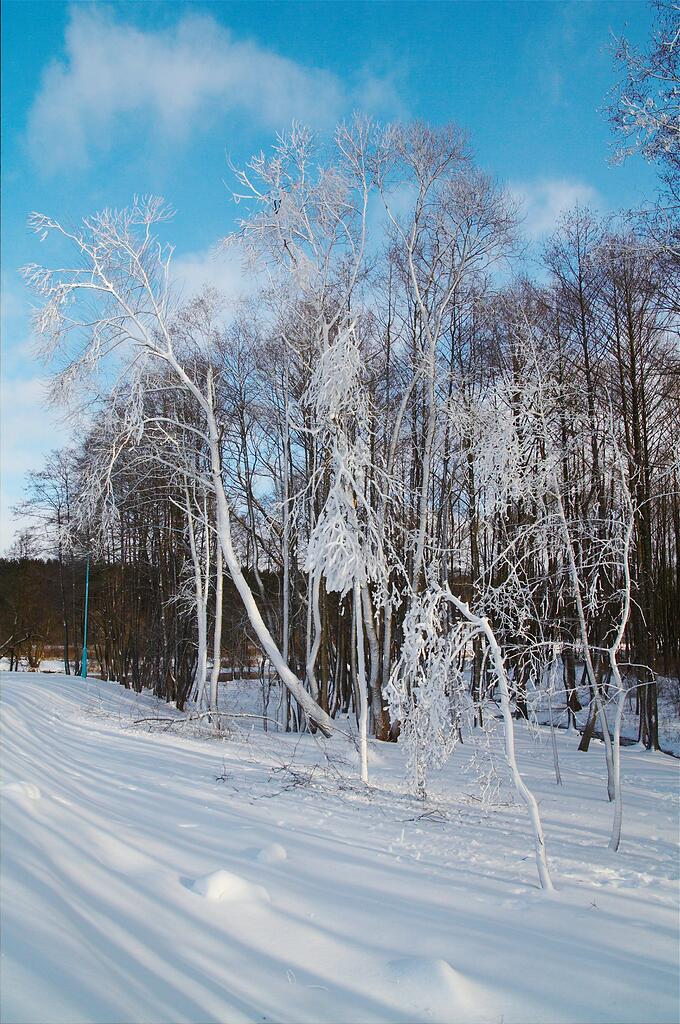 ����� � ����