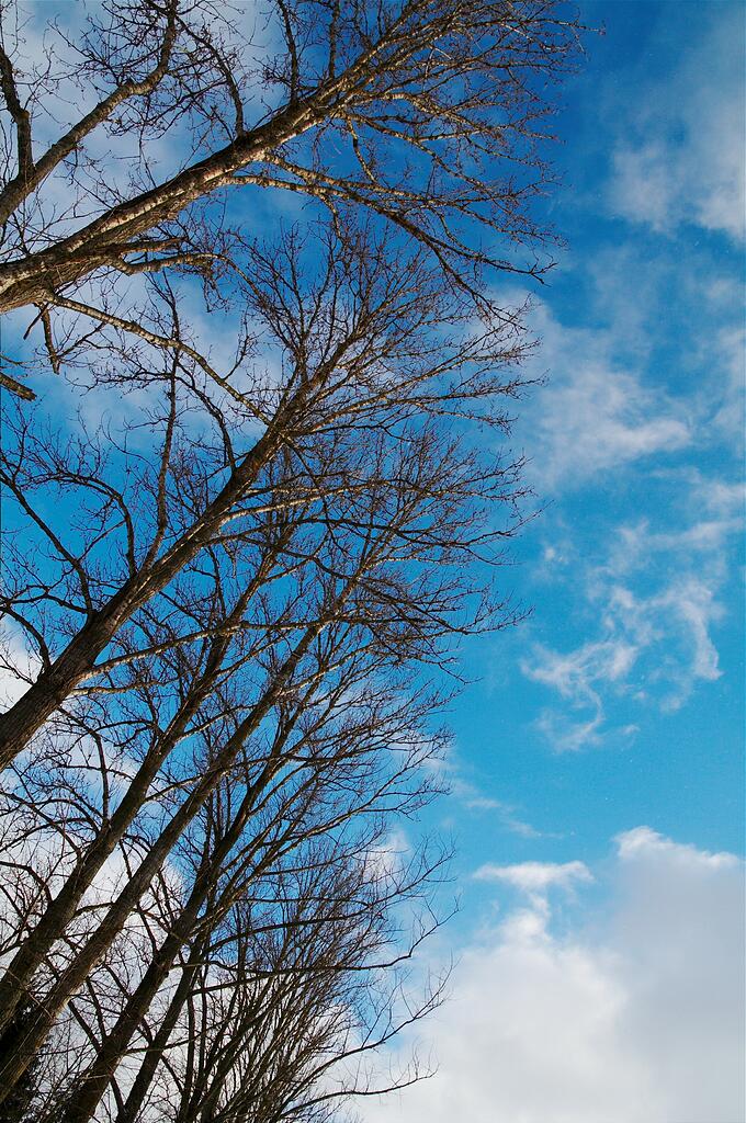 ��� ������...