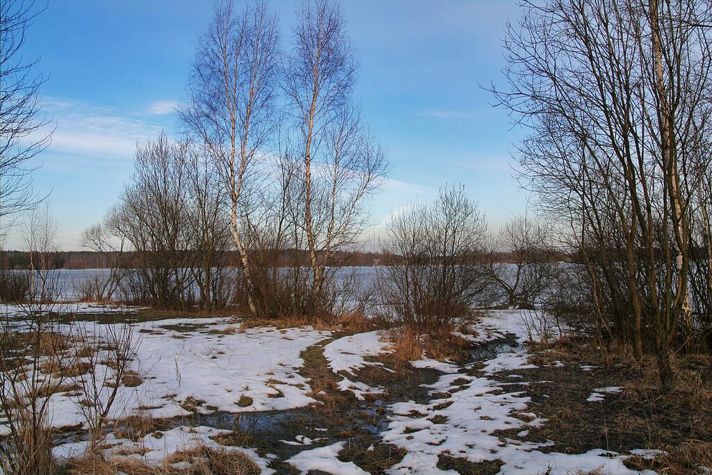 ����� �� �������