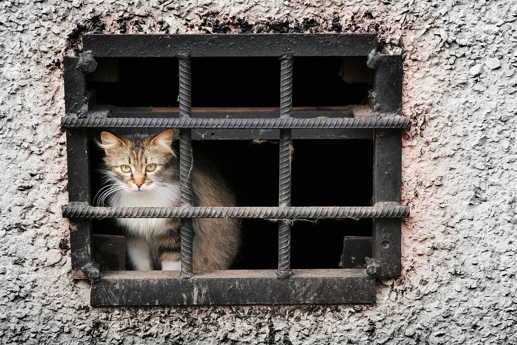 ���� �� ��������, � ������� �����...