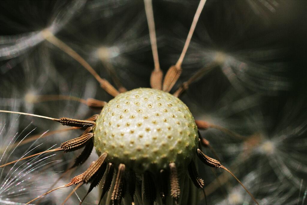 ��������  - �� �������.. ��� � ������� ��� ���������