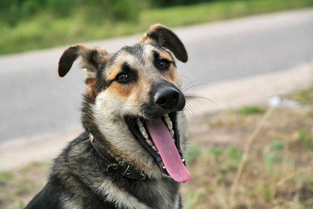 � � ���� ������!