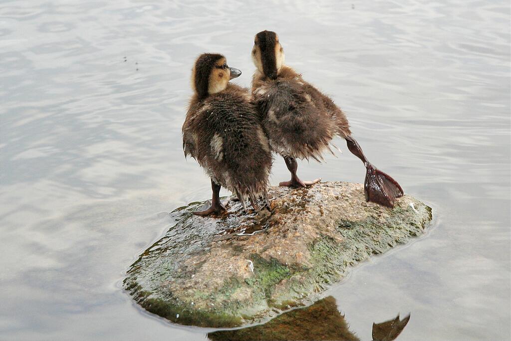 ����� ��������!