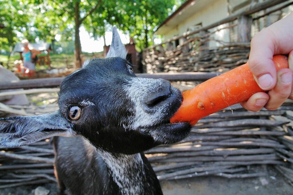 ����� ��������!