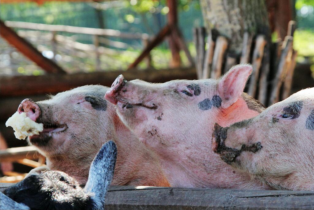 ����������!