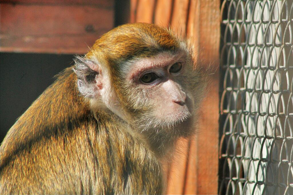 ���� ���������� �� � ���..