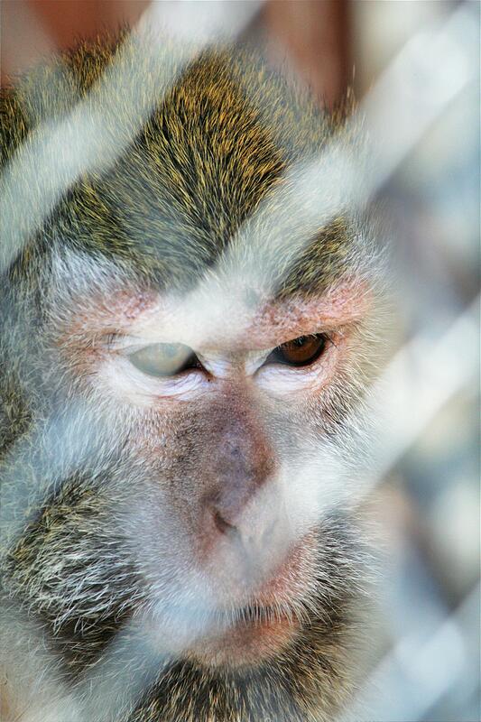 ���� �����!