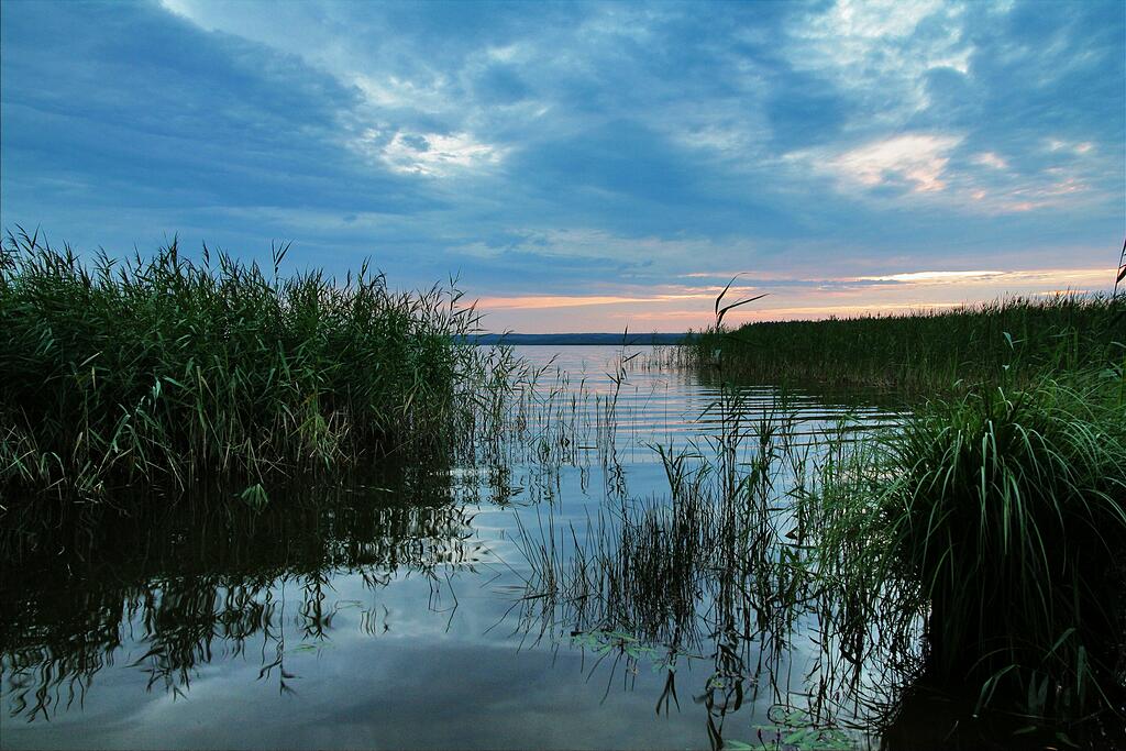 ����� �� �����