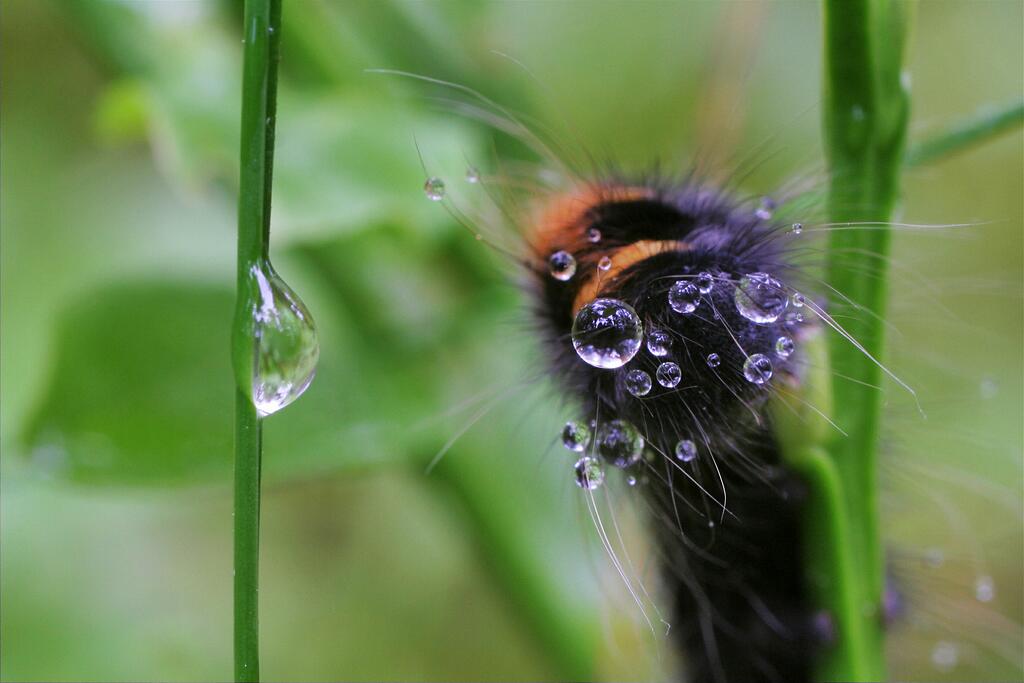 �������� ������