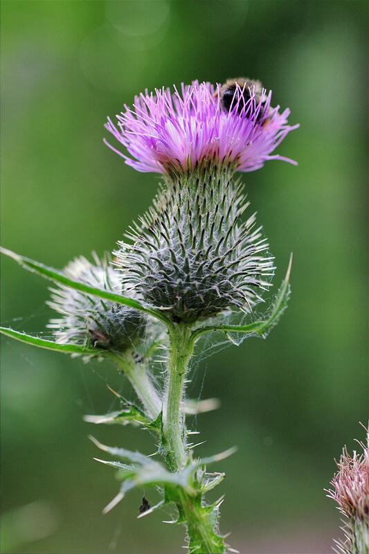 �������