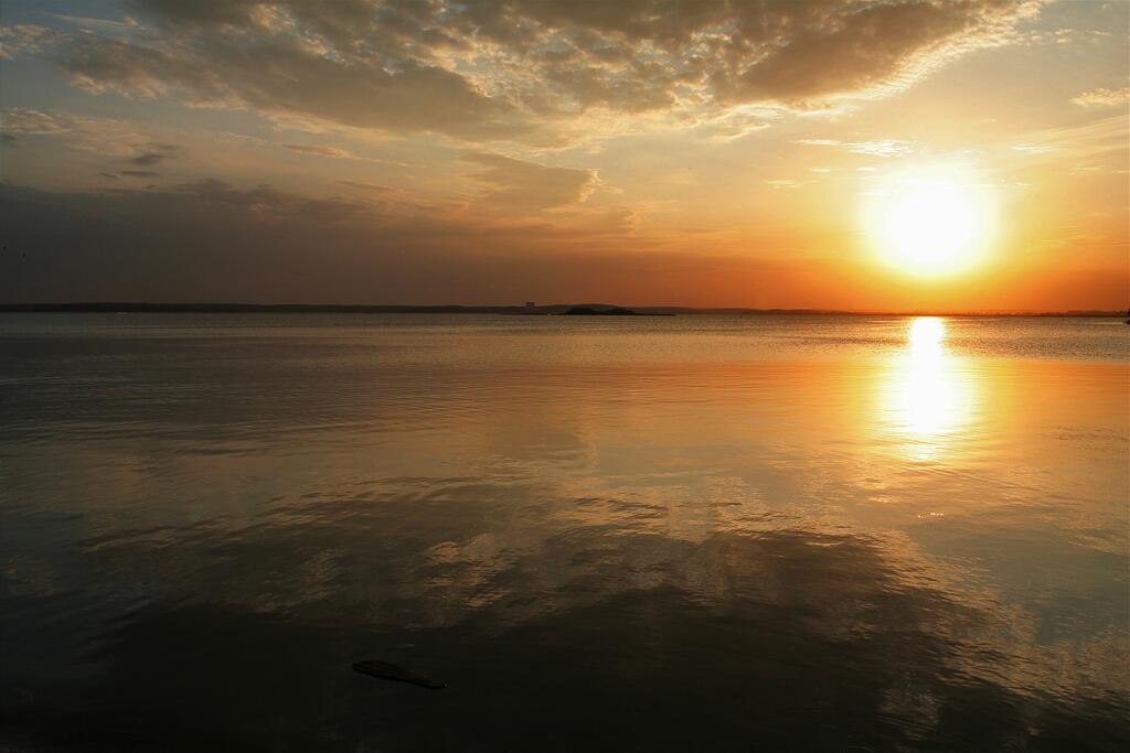 ����� �� ������� ����