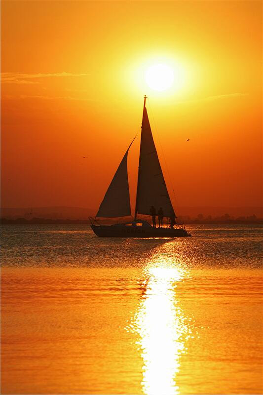 ��� �������