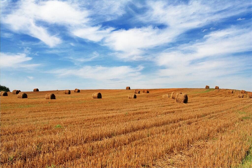 ����� �� ������