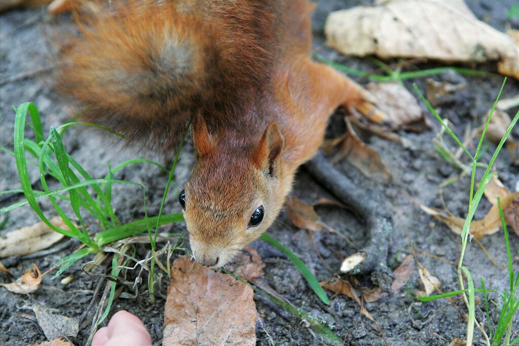 � ��� ��� � ��� ������������?