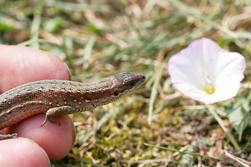 ���� � �����������