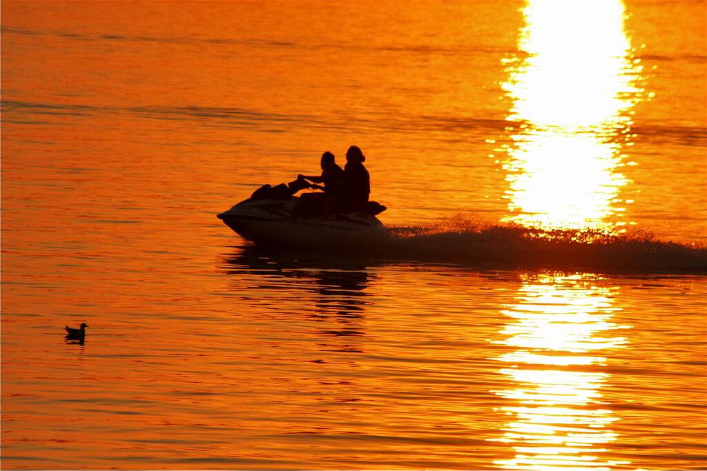 �������� ��������