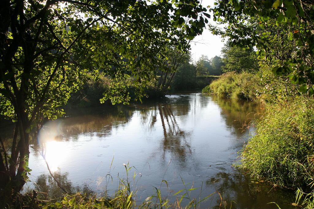 �. ������