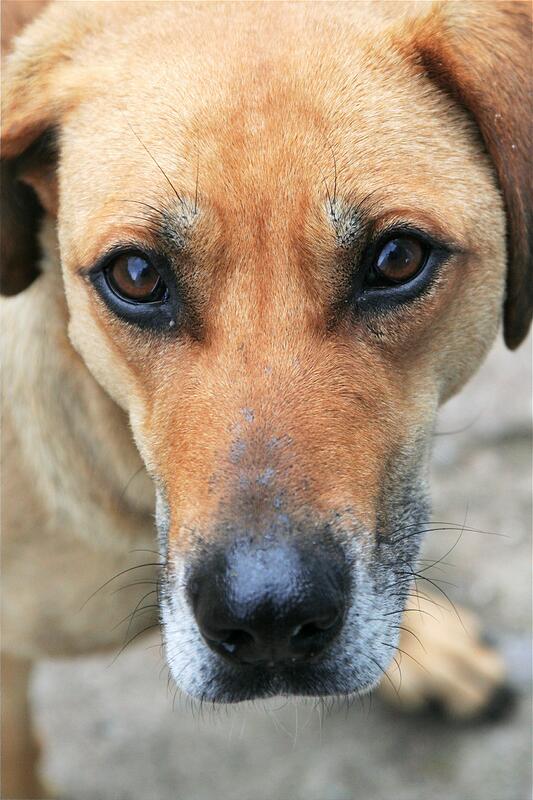 ��� �������� �����..