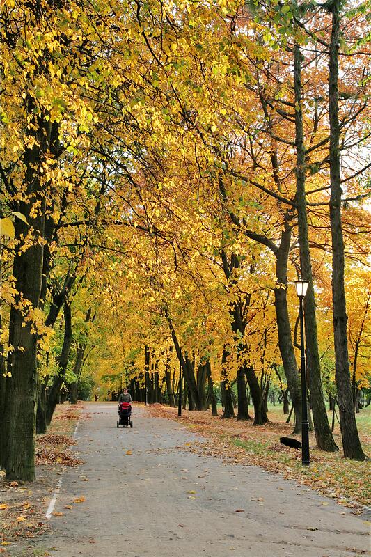 ������� � �����