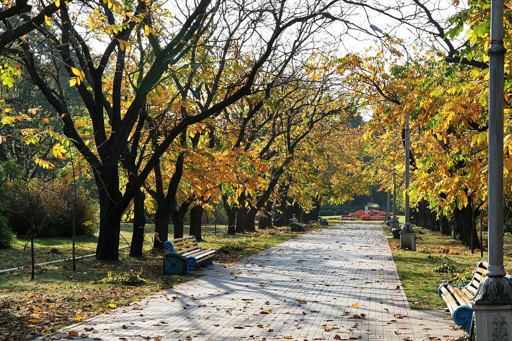 ������������ ���