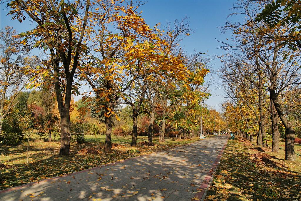 ���� �����