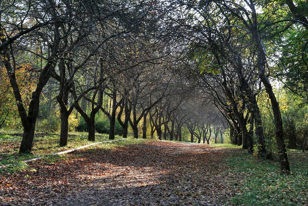 ���� � ������..