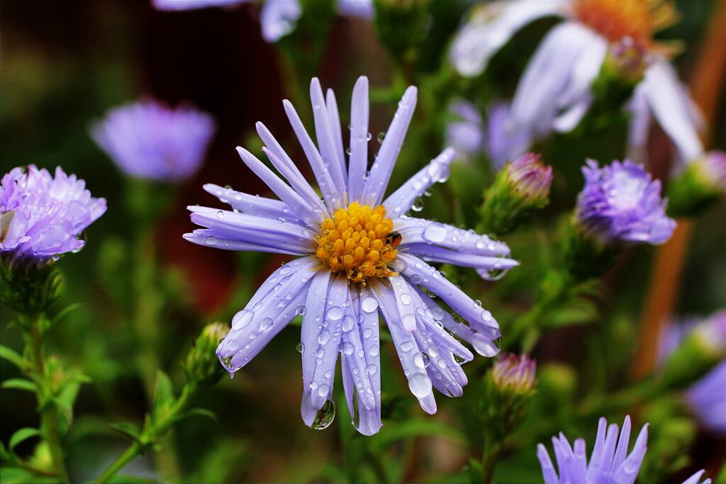 ����������