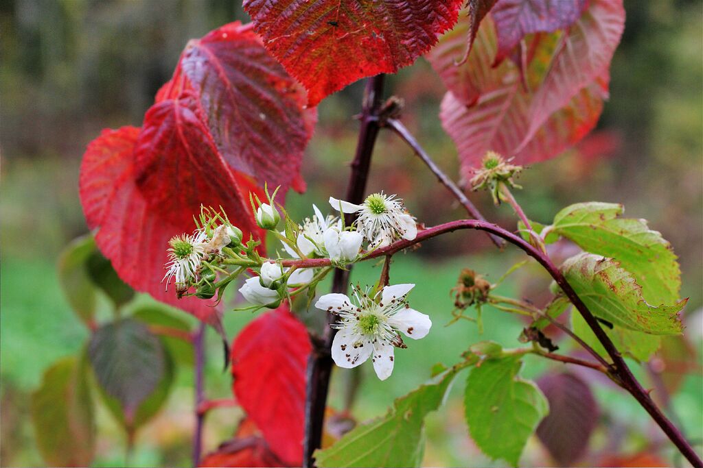 ������� ������ � ���