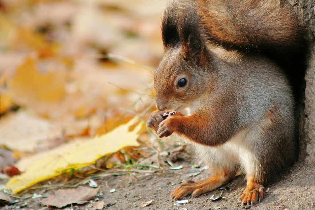 �� ������