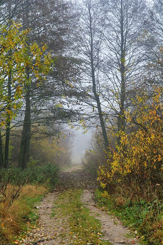 ������ �������