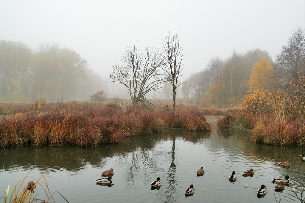 �������