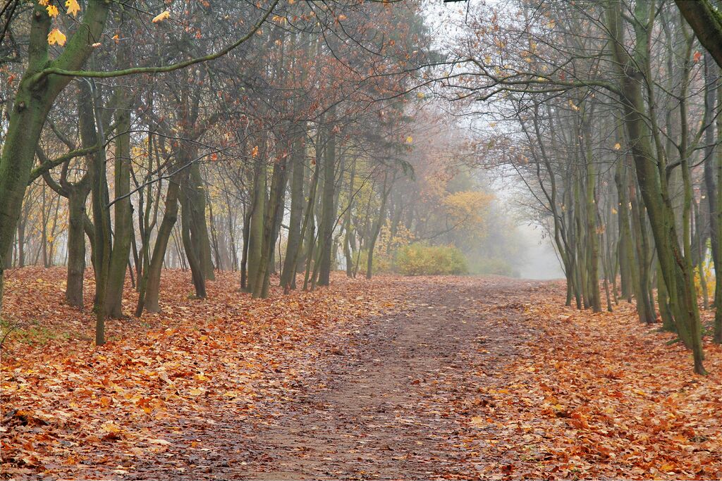 �������� �����