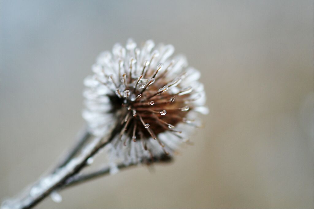 ���� � ������